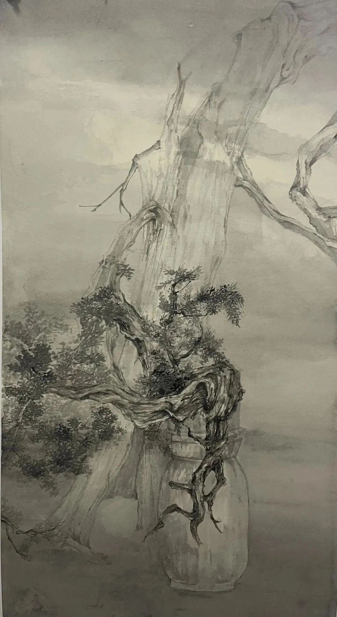 触目横斜千万朵，赏心只有三两枝——中国美院中国画学院张铨师生苏州司徒庙写生之旅