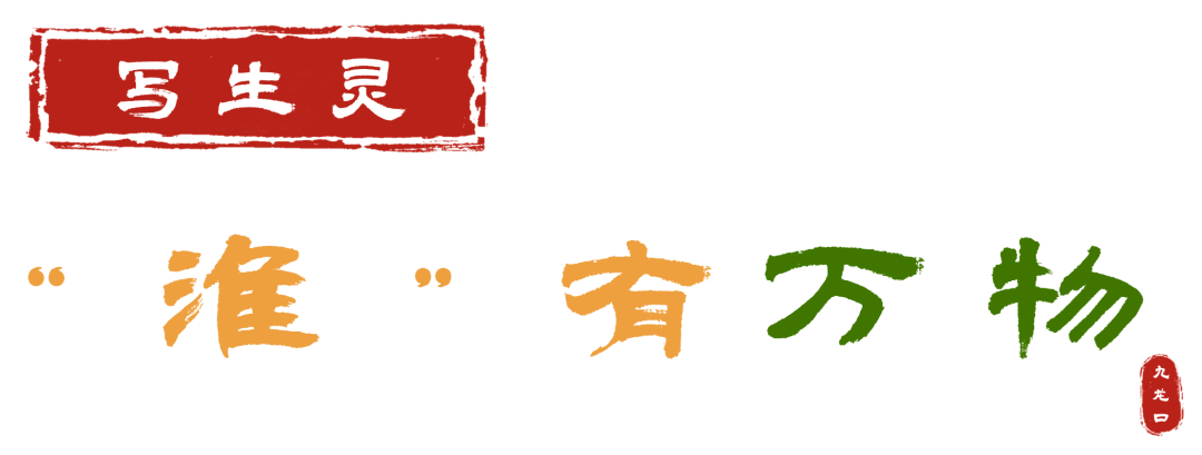 “写生灵——周京新水墨作品展”在江苏盐城九龙口淮念书房隆重开幕