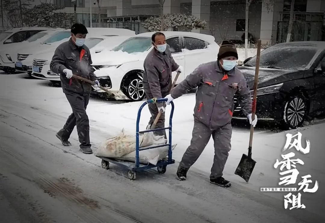 雪下不停，清扫不止——银丰物业全员除雪保业主安全通行