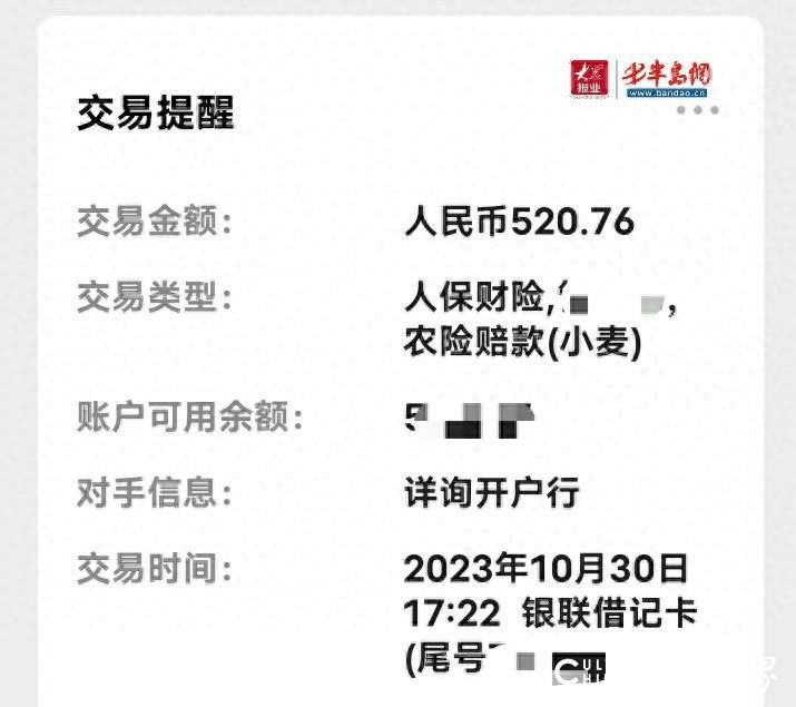 山东诸城林家村镇十亩小麦受冻害绝产 保险赔付金仅520.76元？中国人民保险暂未回应