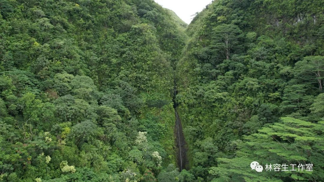 林容生美国夏威夷檀香山写生：神秘的火山知道地心什么时候发热