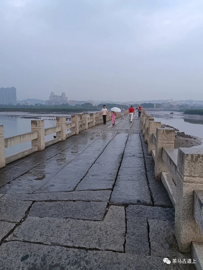 泉州一眼看千年——与著名画家舒建新漫步洛阳桥