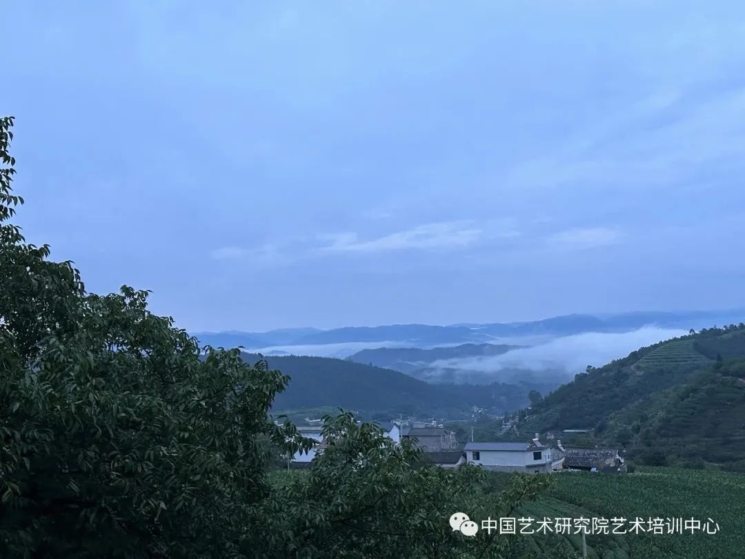 导师：唐建，中国艺术研究院艺术培训中心古梅写生高级研修班(短训班)开启招生