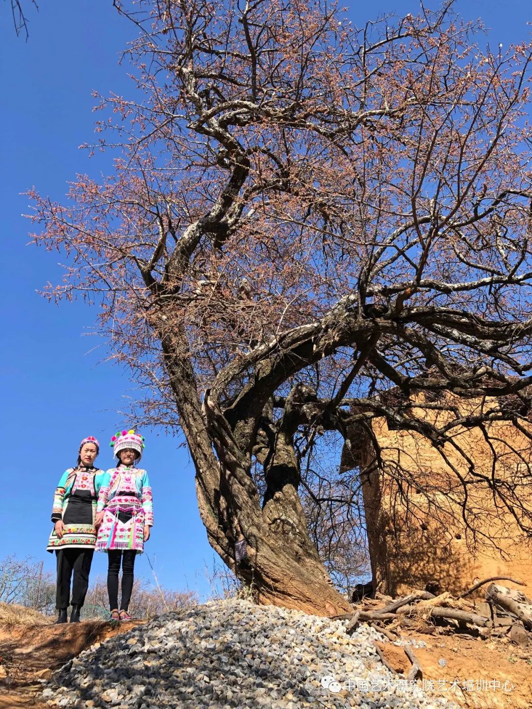 导师：唐建，中国艺术研究院艺术培训中心古梅写生高级研修班(短训班)开启招生