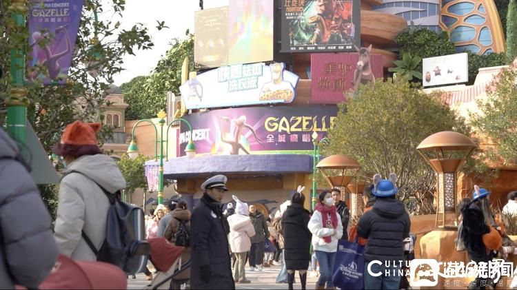 降温挡不住这里火！上海迪士尼“疯狂动物城”园区开“城”当日最大客流3.2万人，后面三天门票均已售罄