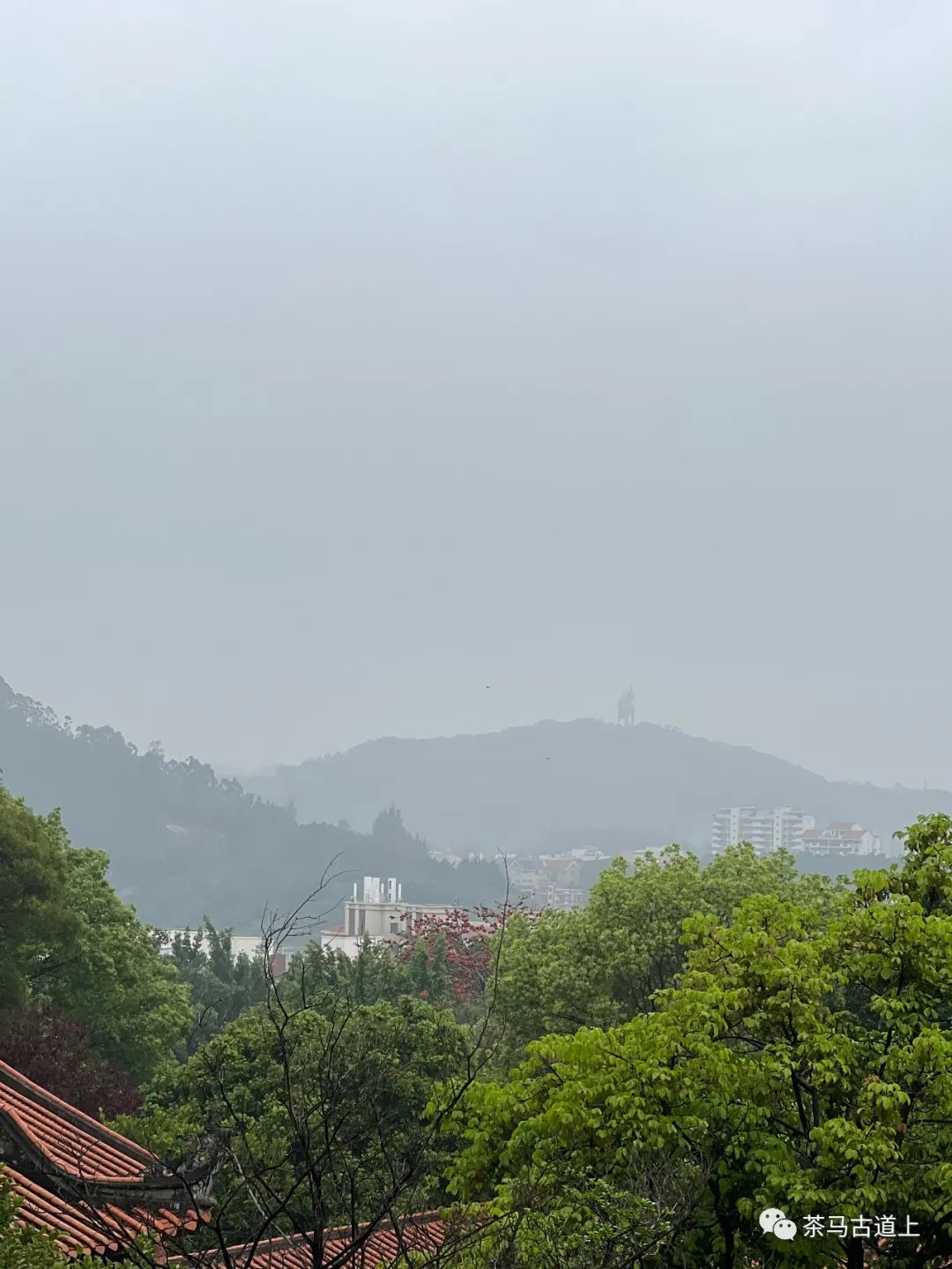 与著名画家舒建新打卡泉州清源山，体会南来北往的乡愁