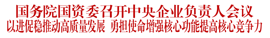 【李想集锦】（251） | 2024年中央企业的五大价值是什么？怎么干？——中央企业负责人会议解读