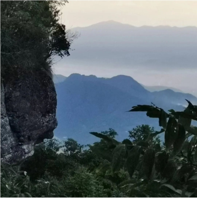 翁志承写生白岩山：观察自然而后撷取，体悟生活而后升华