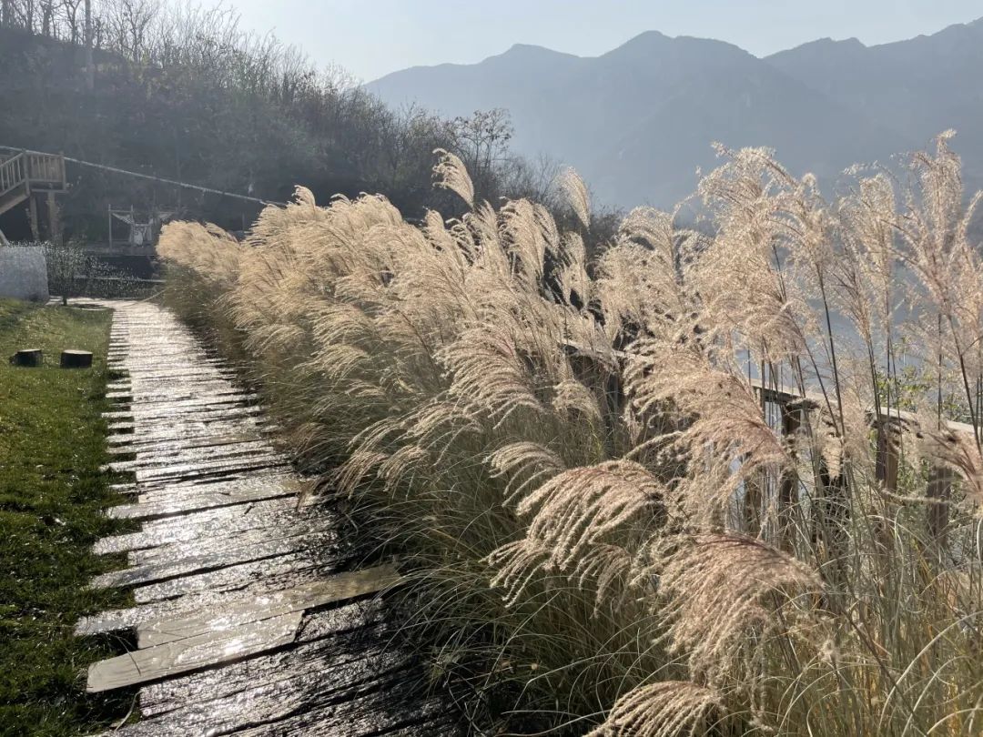 游心造境——任清谈水墨山水写生