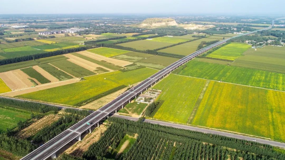 山东高速集团投资建设的8个项目荣获全国公路建设最高质量奖“李春奖”