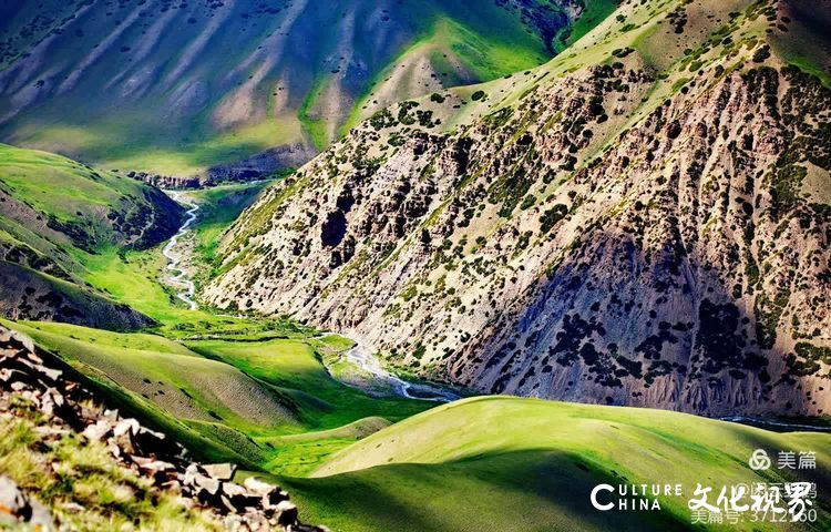 闲云野鹤⑤ | 南疆的山，不同物种和平共处的快乐家园