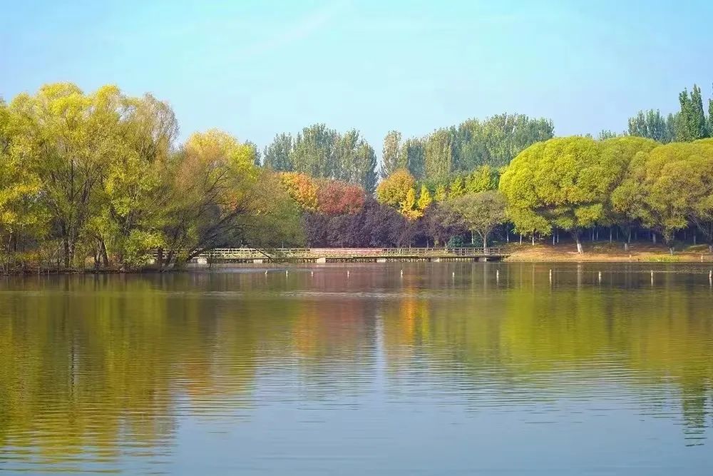 济南蓝石大溪地 | 眺望有湿地，开窗有湖景，举步皆繁华