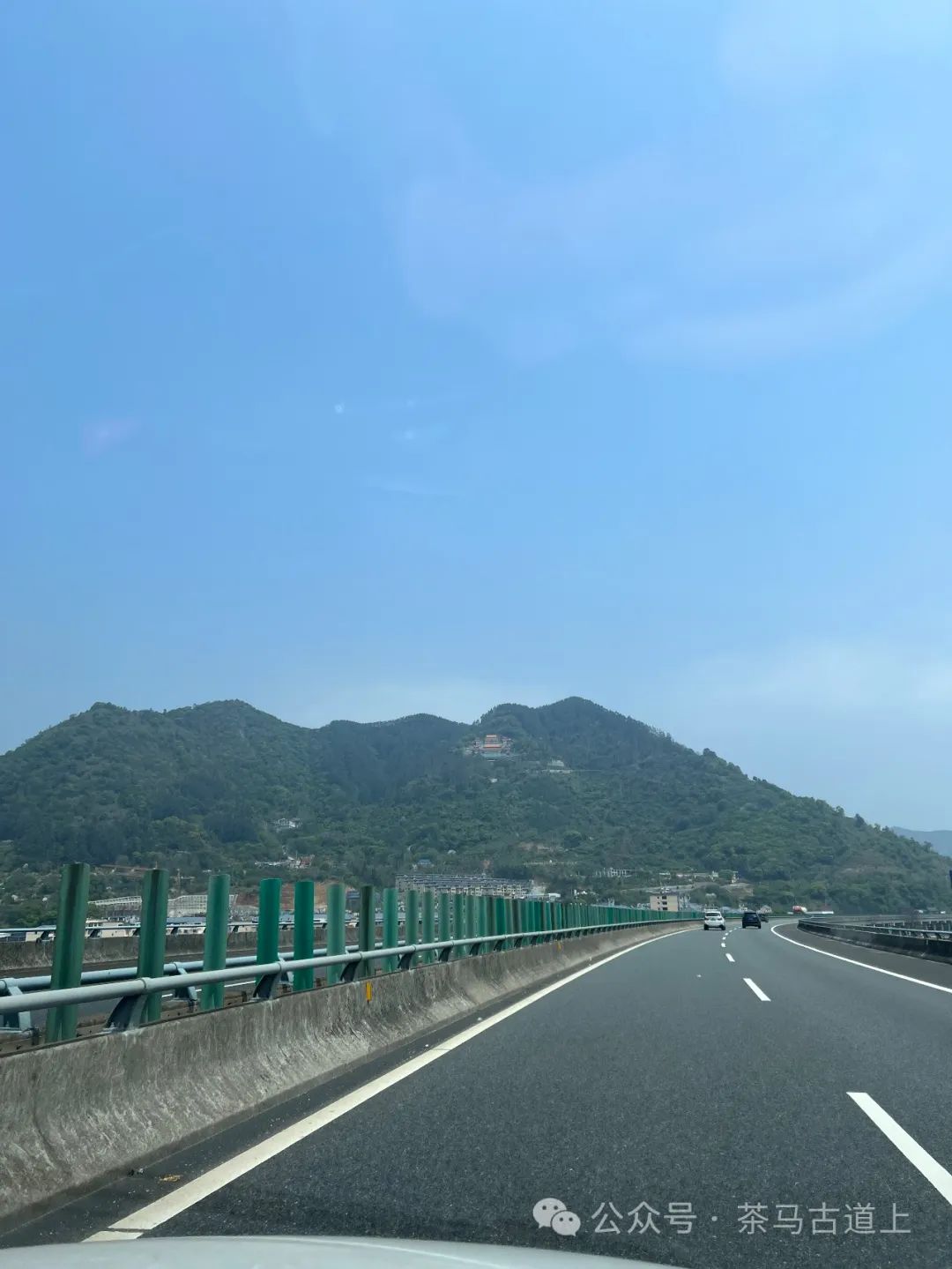 舒建新访福建福鼎太姥山，在白茶故乡寻觅“牡丹寿眉”