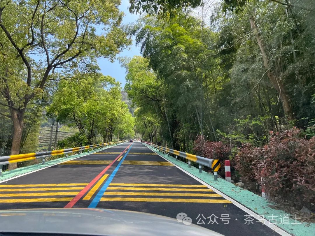 舒建新访福建福鼎太姥山，在白茶故乡寻觅“牡丹寿眉”