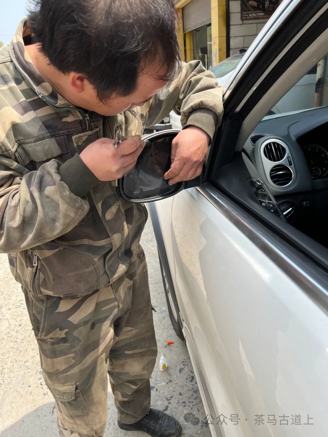 舒建新访福建福鼎太姥山，在白茶故乡寻觅“牡丹寿眉”