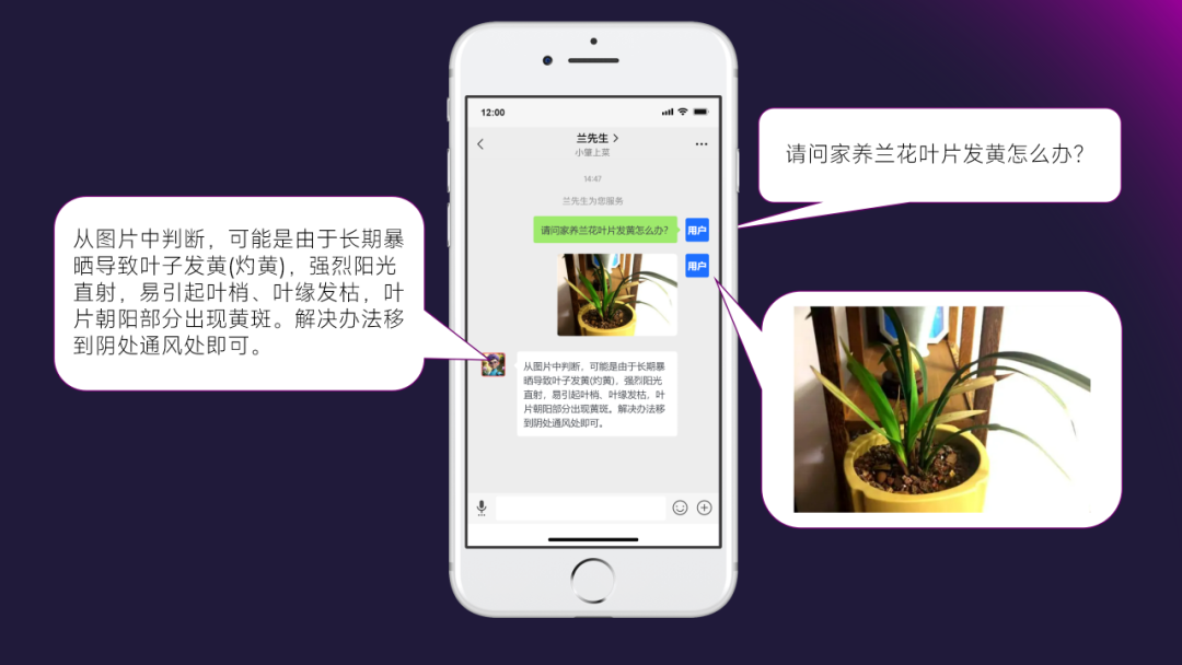 中国首个“花AI”在广东肇庆出世！掌上大脑助兰花产业高质量发展