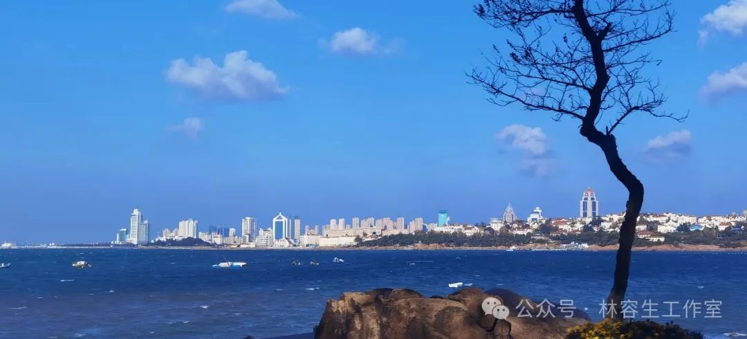 风把海浪吹到海天间，把夕阳吹到山那边……秋日的青岛，在林容生笔下演绎“风中奇缘”