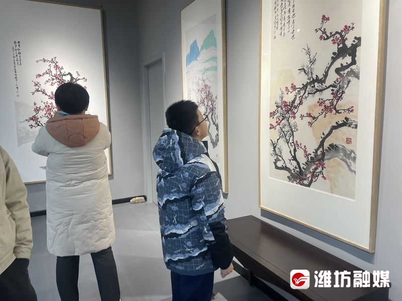 春节好眼福丨“偶乡遇春明——徐仲偶、王居明梅花迎春作品联展”昨日在潍坊开展，展期至3月27日