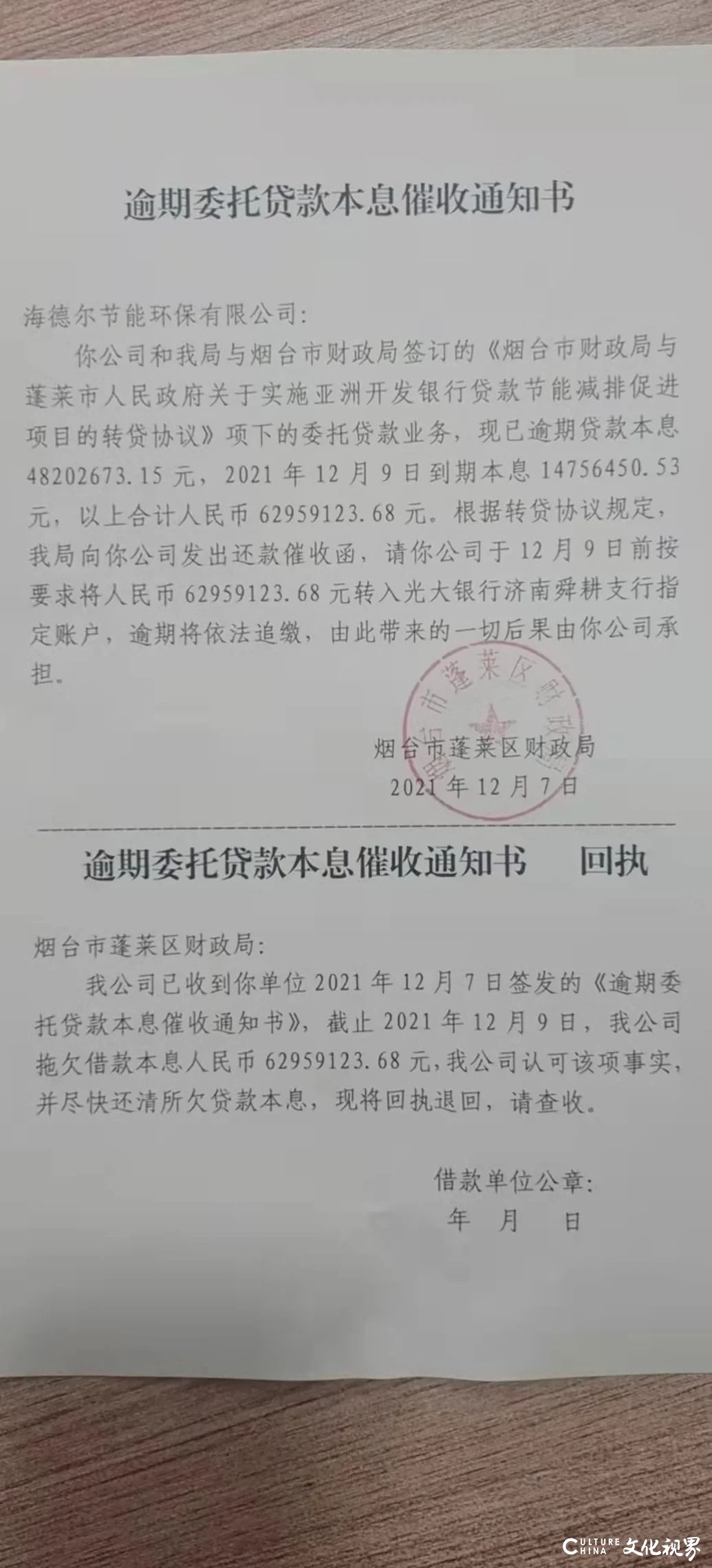 还不上贷款就非法集资，山东海德尔节能老板被判刑——当地一国企竟兜底投资人损失