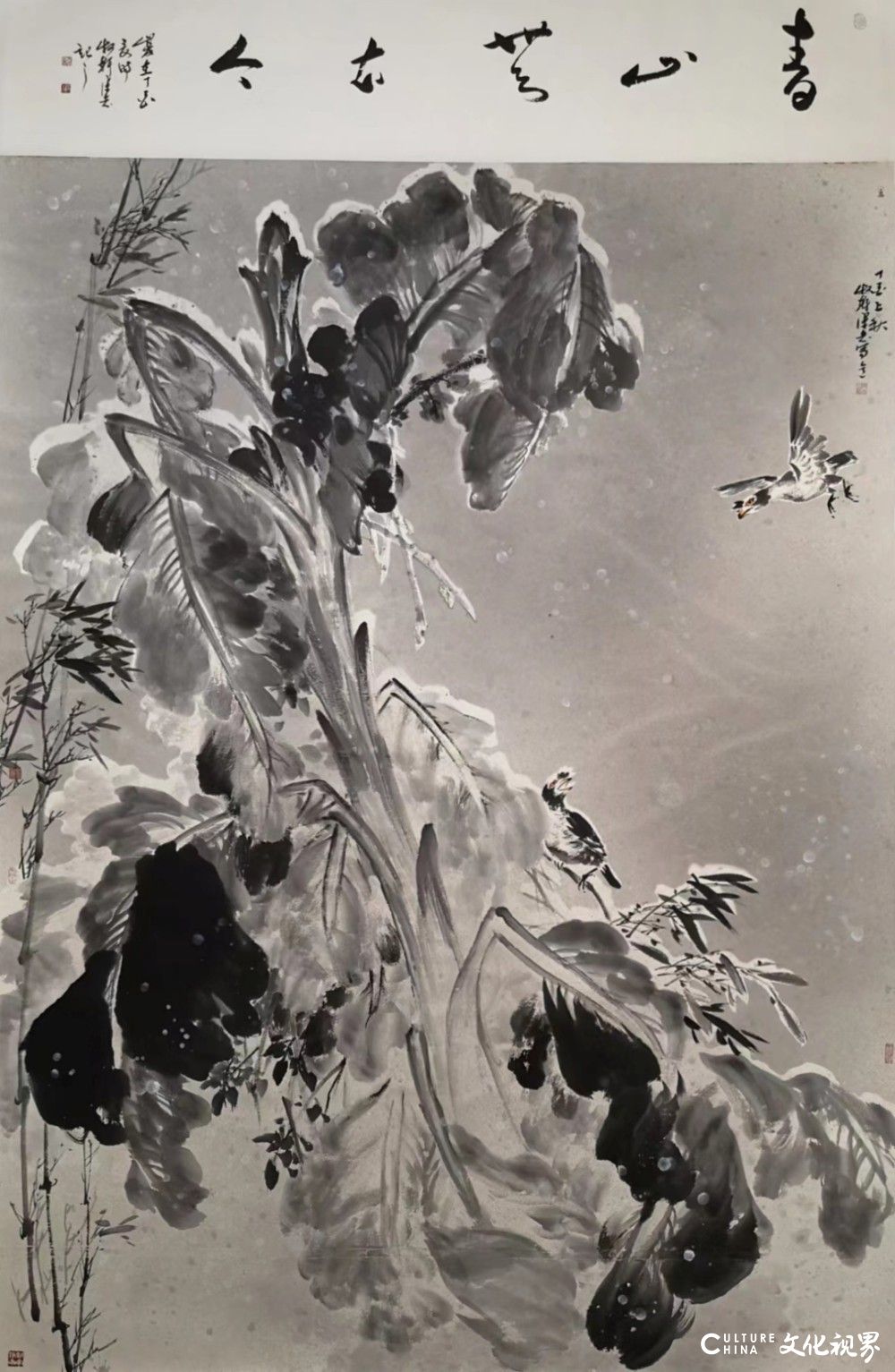 金龙贺岁·翰墨迎春 | 品悟著名画家宋志作品里奔放淋漓的大写意气象