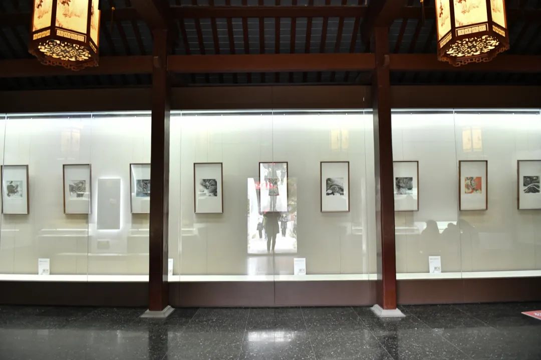 春节好眼福 | “龙腾新时代——张军博甲辰迎春中国画作品展”昨天亮相济南，展期至2月25日