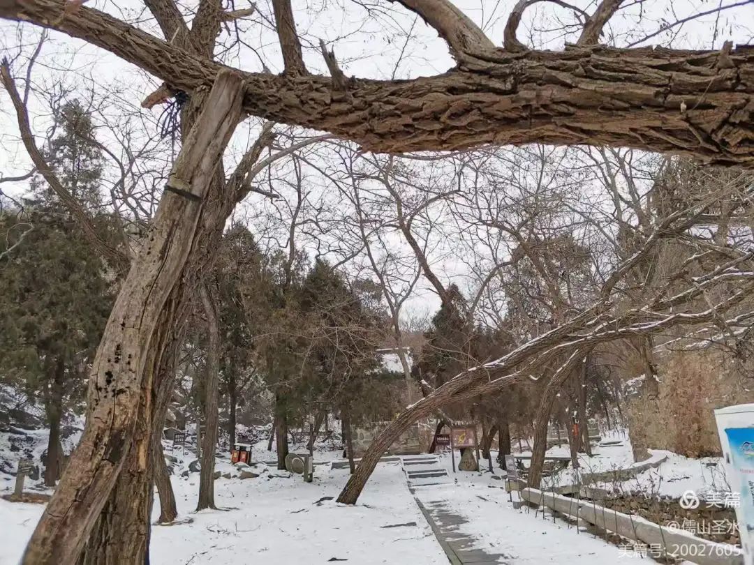 李一：雪漫苍涯 | 忆曲阜石门山摩崖石刻