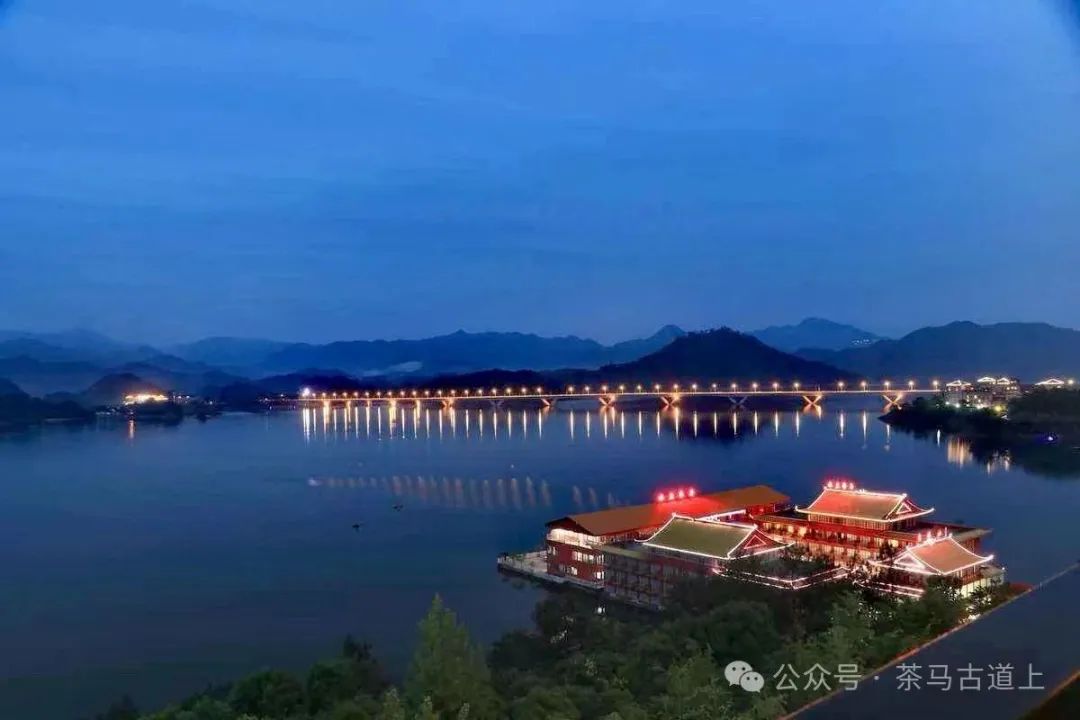 舒建新夜游杭州千岛湖，结束5000公里的春天探茶之旅
