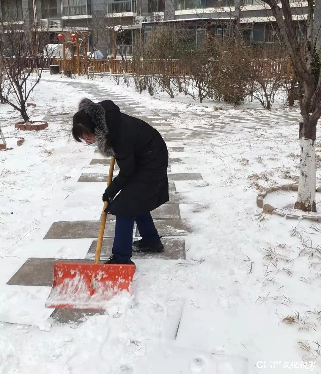 大雪中的守护 | 银丰物业除雪“卷”起来！