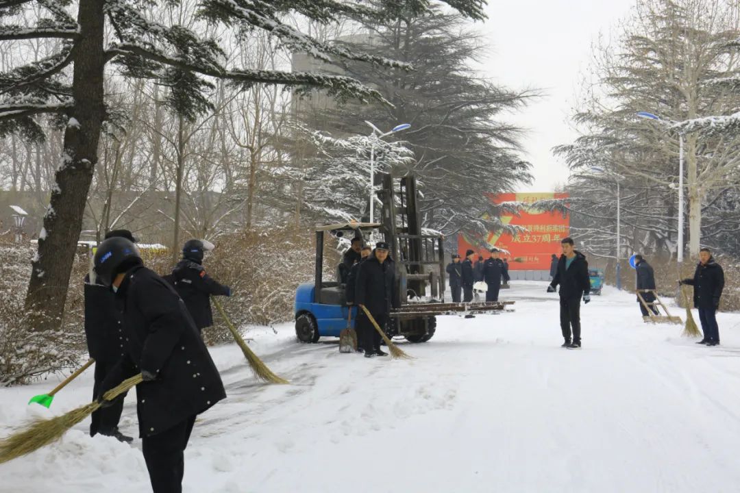 得利斯 | 以雪为令，闻雪而动，行动是最好的“融雪剂”