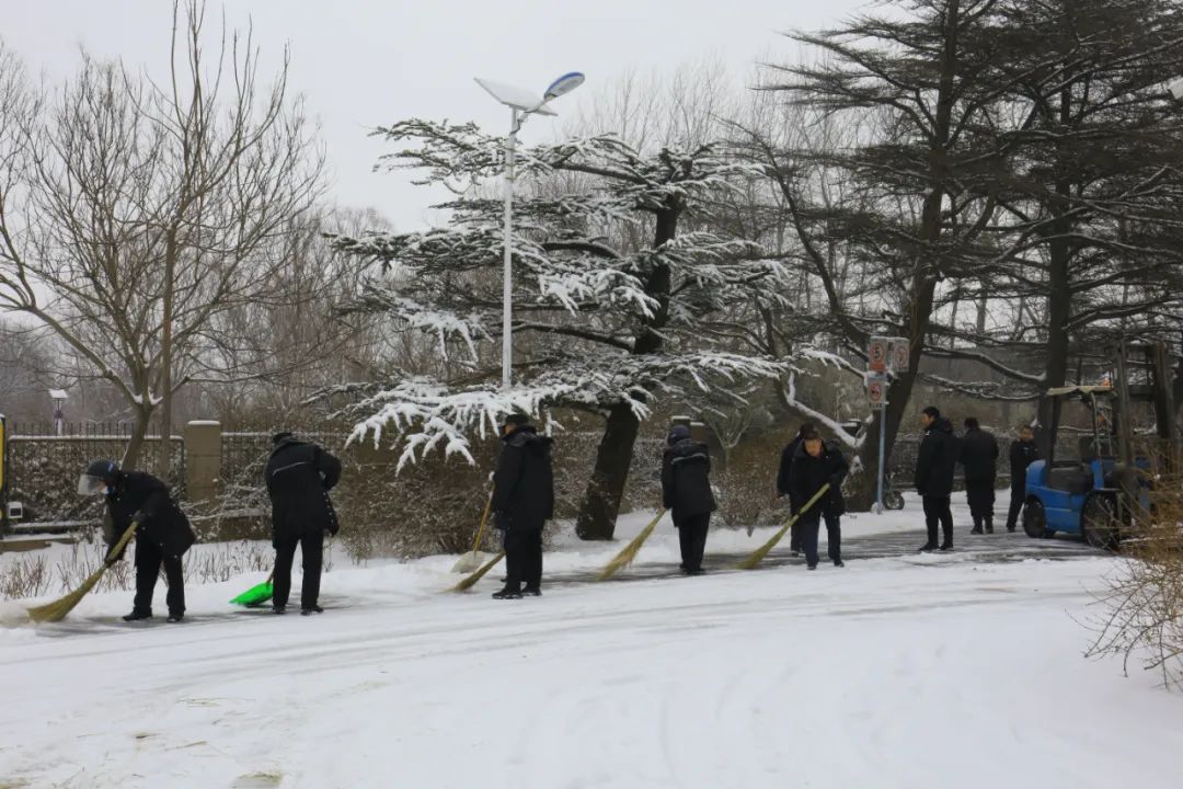 得利斯 | 以雪为令，闻雪而动，行动是最好的“融雪剂”