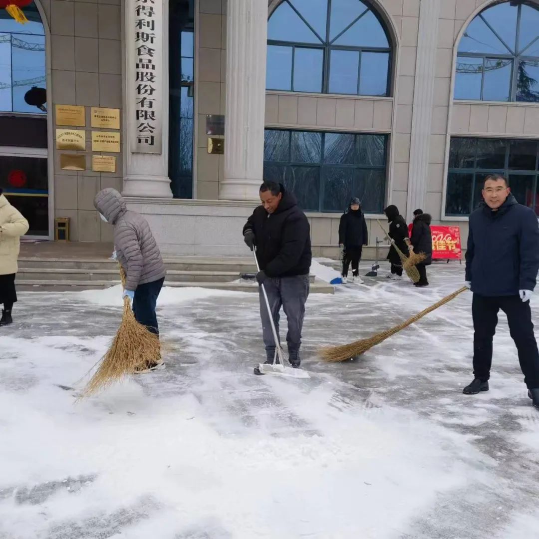 得利斯 | 以雪为令，闻雪而动，行动是最好的“融雪剂”