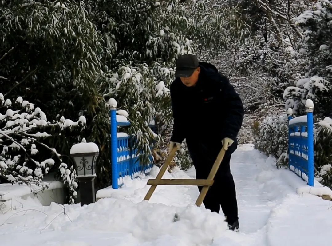 得利斯 | 以雪为令，闻雪而动，行动是最好的“融雪剂”