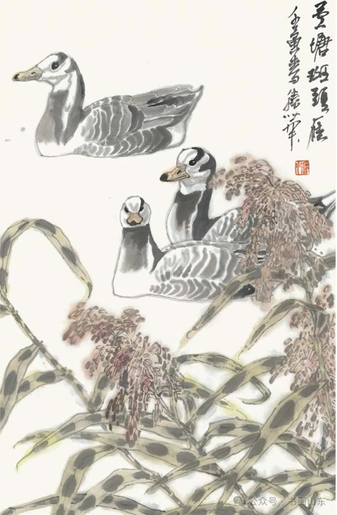 王胜华花鸟画丨面对自然的交流，自出机杼的创造