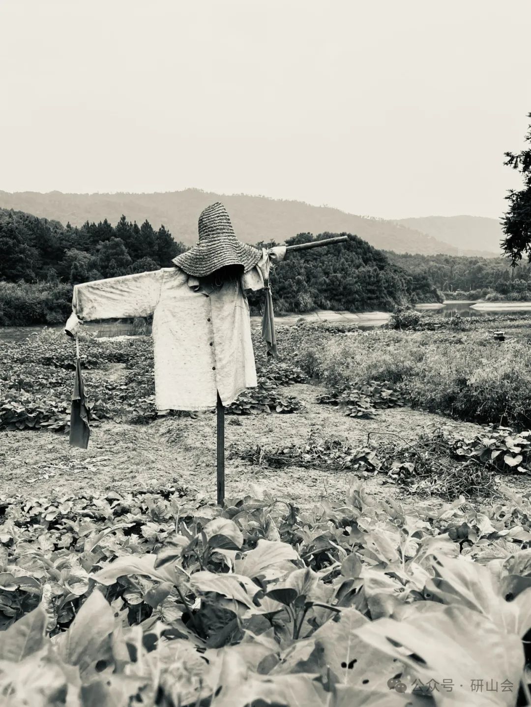 雷子人 | 山水本色，渐行渐远