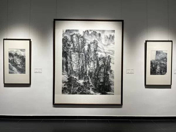 现场直击 | “大美天成·张家界——旷小津山水画展”：放眼壮美山河 抒发时代情怀