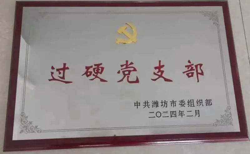 得利斯集团食品股份有限公司党支部荣获潍坊市“过硬党支部”称号