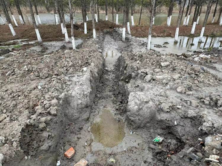 江苏昆山178亩林地变跨省偷运固废填埋场，当地回应称不止一处偷倒点，处理有难度