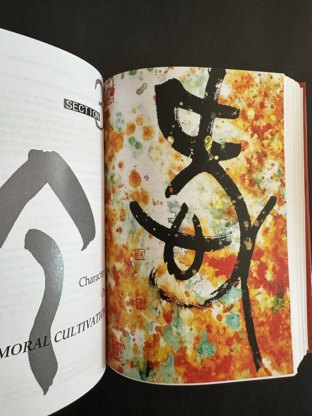 热爱汉字的老外有福了——由马子恺倡议并精心创作图版作品，《从汉字中感悟中国智慧》英文原版在剑桥刊行，面向欧美地区发售