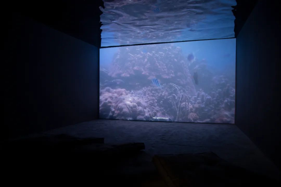 在春天伊始，重新探索万物的母体——海洋，西海美术馆4月3日将呈现新展“向海回归：人类世海洋的哲思”