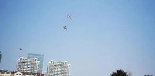 明天上午！青岛市西海岸美术馆！手绘风筝主题活动等你来报名啦！