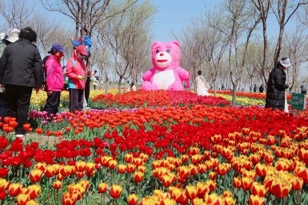 田园牧歌诗酒花香，揭开风筝公园齐鲁酒地神秘面纱