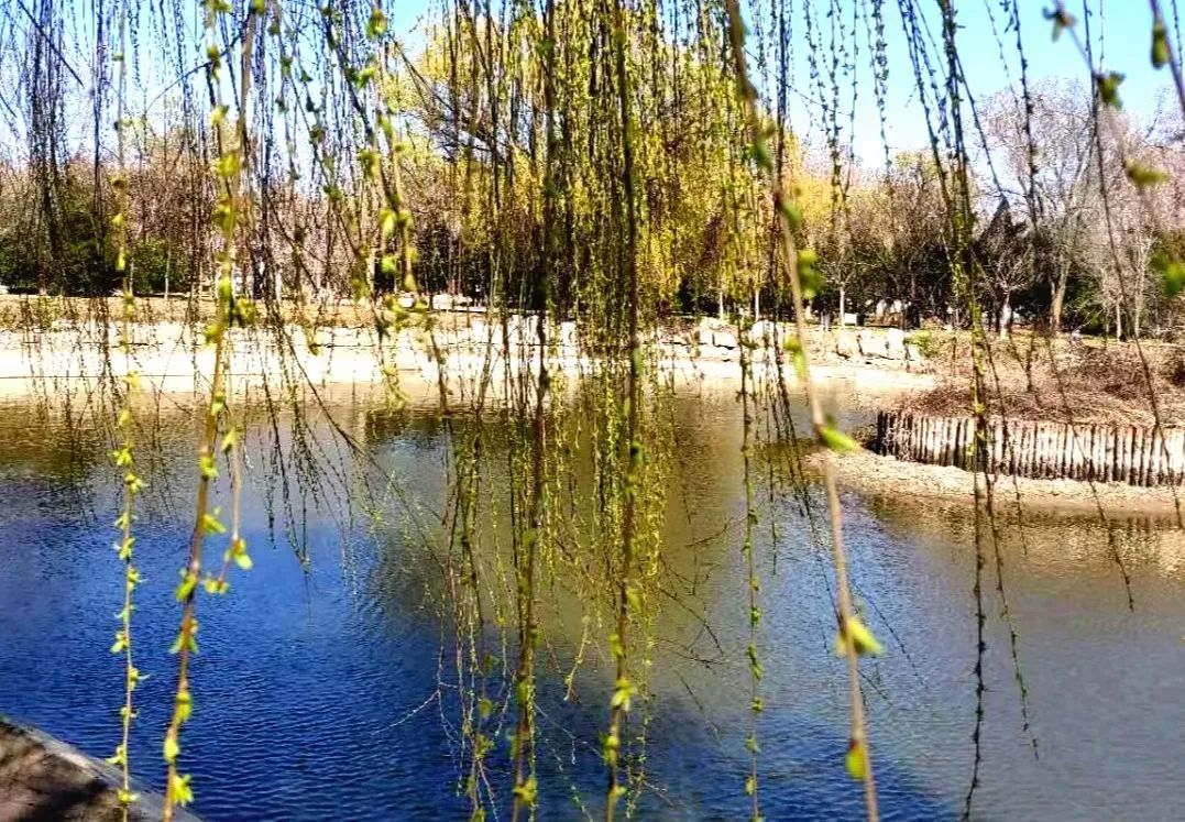 田园牧歌诗酒花香，揭开风筝公园齐鲁酒地神秘面纱