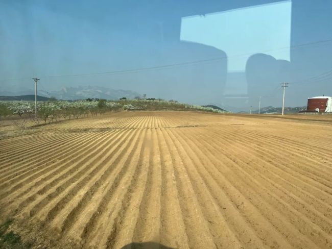 北镇梨花洁白雅致、宁远古城淳朴敦厚……跟随画家赵培智的写生之旅回望辽西之美