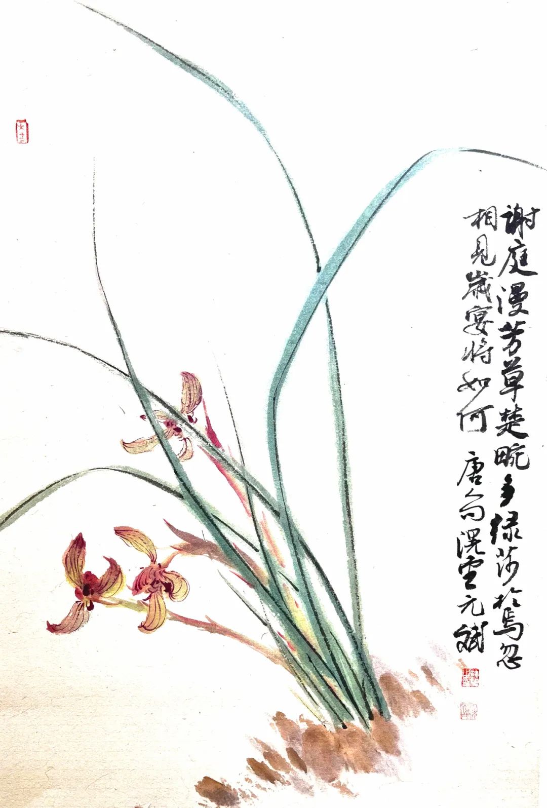 花草始盛 其野芃芃，“滉堂墨记——韩斌花鸟画作品展”将于5月5日在烟台莱州开展