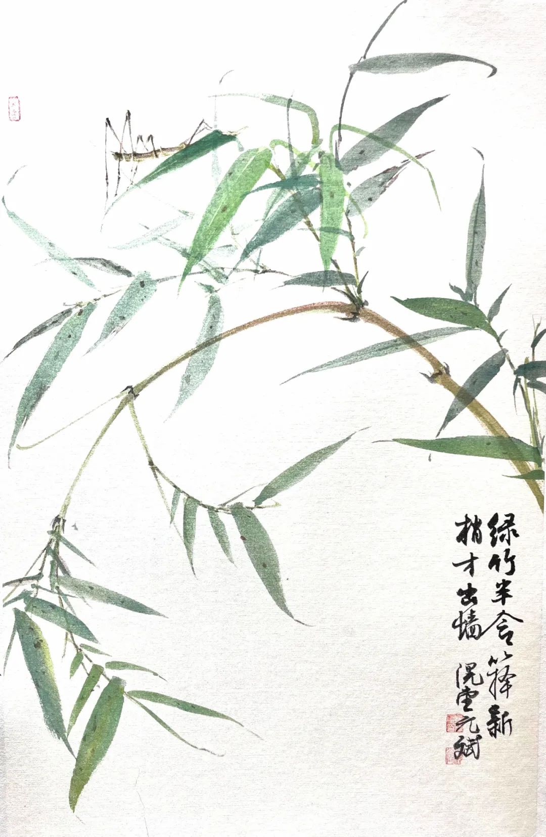 花草始盛 其野芃芃，“滉堂墨记——韩斌花鸟画作品展”将于5月5日在烟台莱州开展