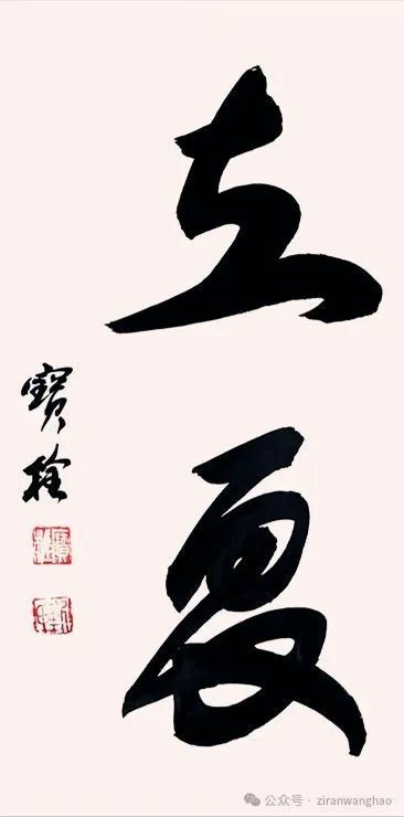 修竹吐翠、荷塘清风——“立夏”时节赏河北省书画名家的“迎夏”之作