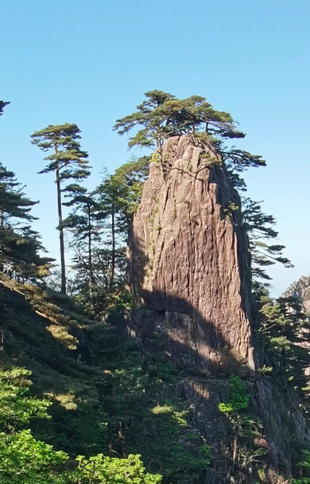 张国兴·写生黄山丨心灵与自然的对话