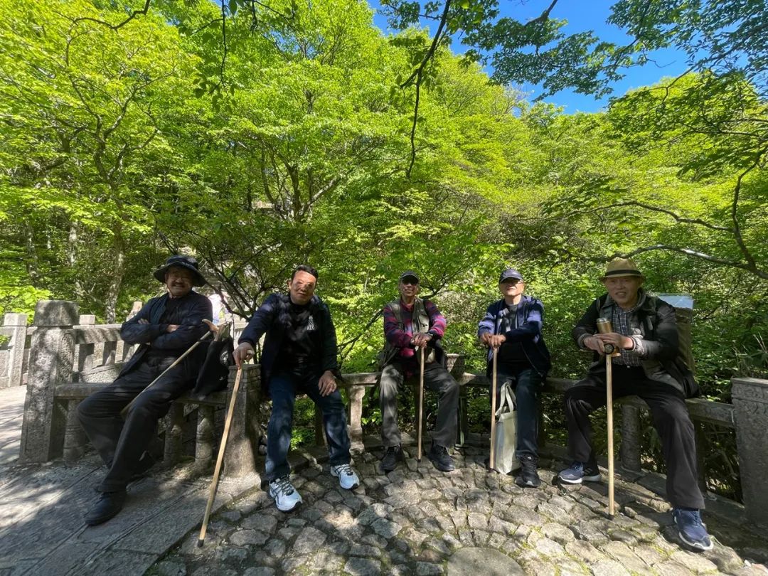 王卫平·写生黄山丨奇峰峻险在川间，千年古村展新颜