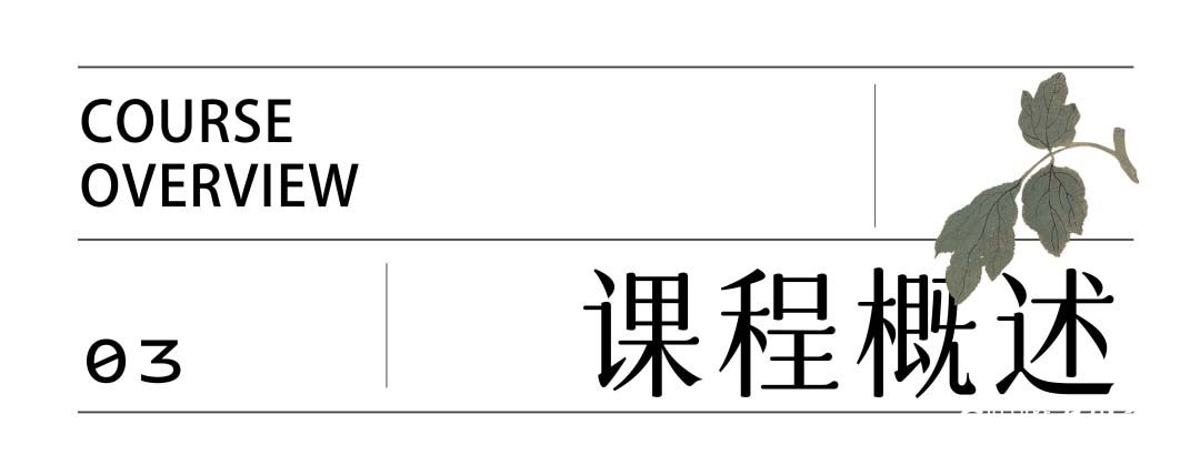 2024年中央美术学院国际学院王德芳花鸟画导师创作课题研修班开始招生