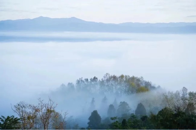 这个暑假跟随导师陈流赴普洱写生吧，一起感受云南风情与水彩艺术的“碰撞”